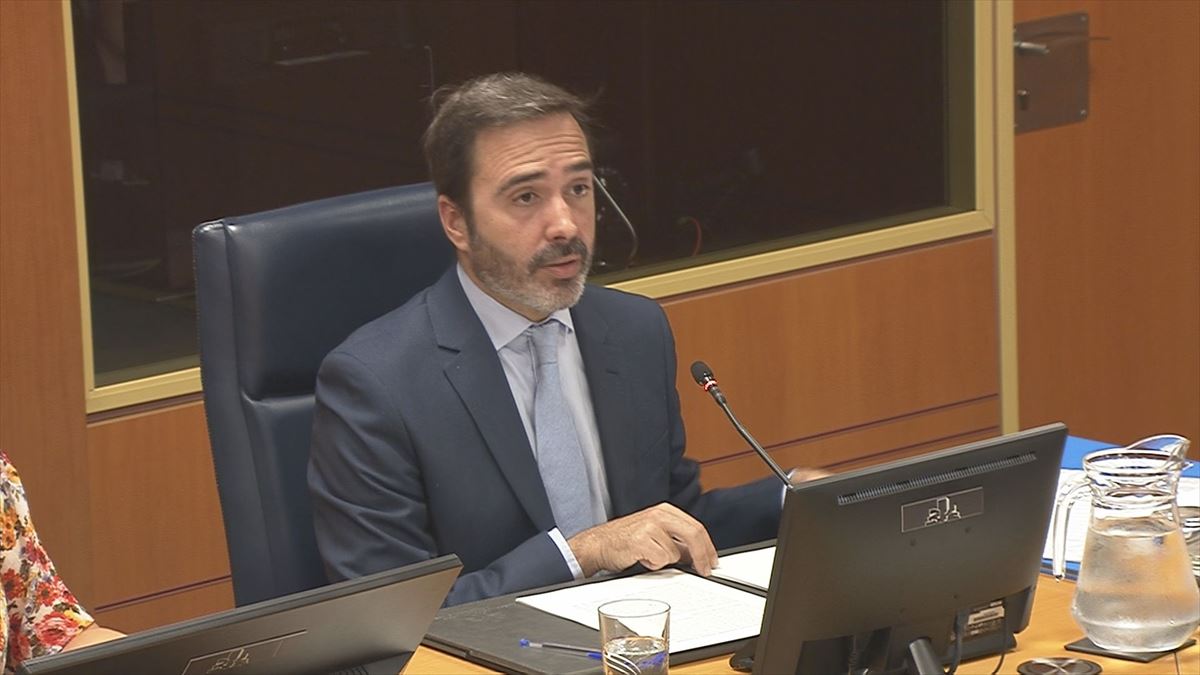 El consejero de Turismo, Comercio y Consumo, Javier Hurtado, hoy, en el Parlamento Vasco