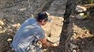 Una a una se colocan las piedras de está vía pecuaria, única en el territorio alavés