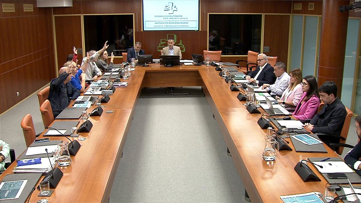 Votación de los miembros del Instituto Gogora en el Parlamento Vasco