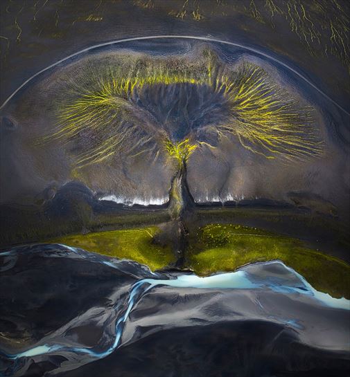 Tree of life (Islandia). Isabella Tabacchi