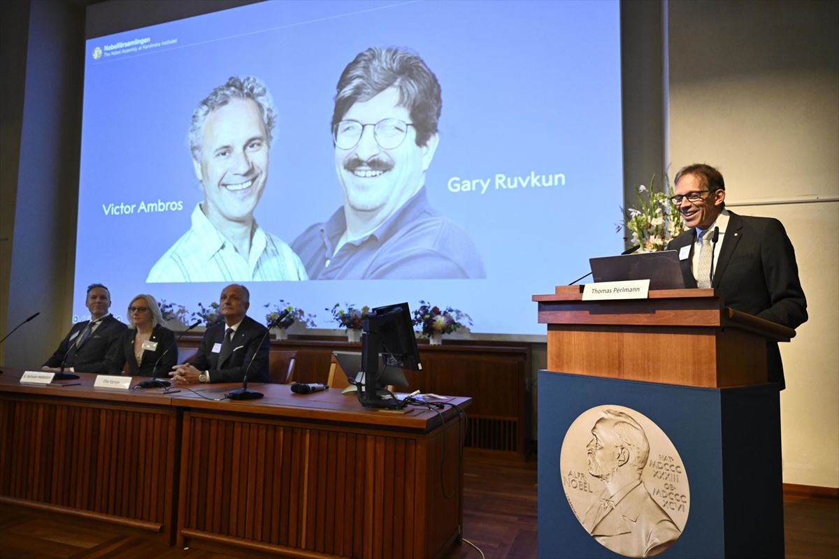 La Academia sueca, durante el anuncio del Premio Nobel de Medicina. 