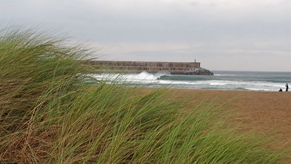 Viento en Orio. Foto: Maria Jesus Etxeberria. 