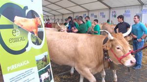 Gernikako Urriko Lehen Astelehenak piriniar arrazako 105 abelburu bildu ditu