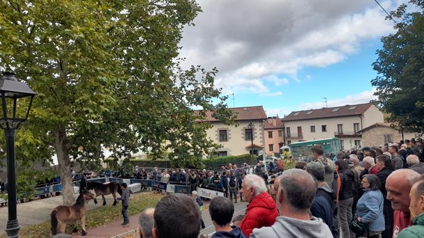 El carrejo de San Jorge acoge el Concurso Morfológico de Caballo de Monte del País Vasco