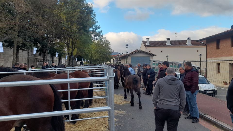 1.	629 edición de la Feria Ganadera de Agurain