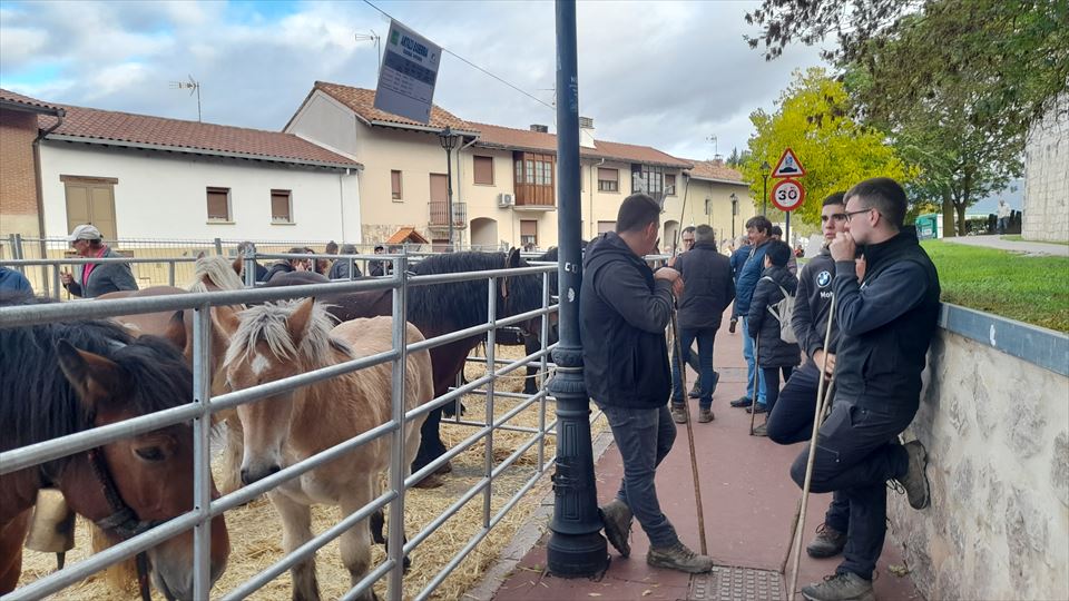 2.	La muestra de ganado equino concitó a numerosos ganaderos procedentes de toda Euskal Herria