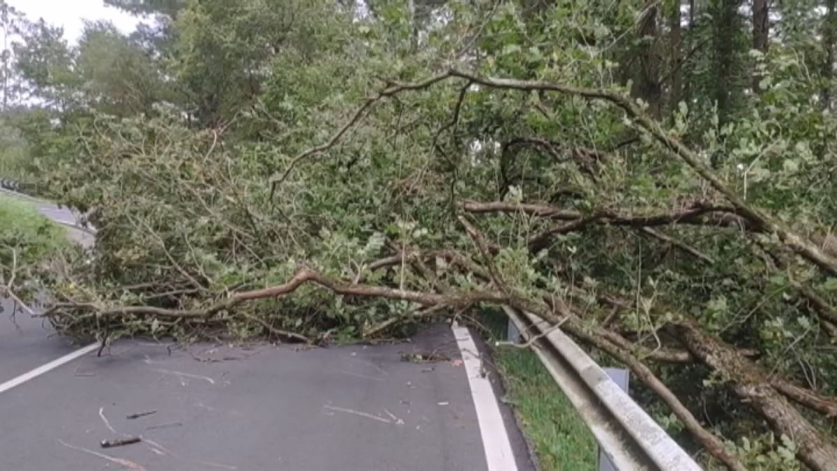 Efectos del viento en las carreteras.