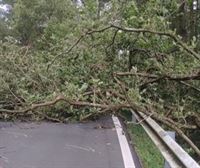 El viento de la borrasca Kirk derriba árboles y mobiliario urbano y complica los vuelos