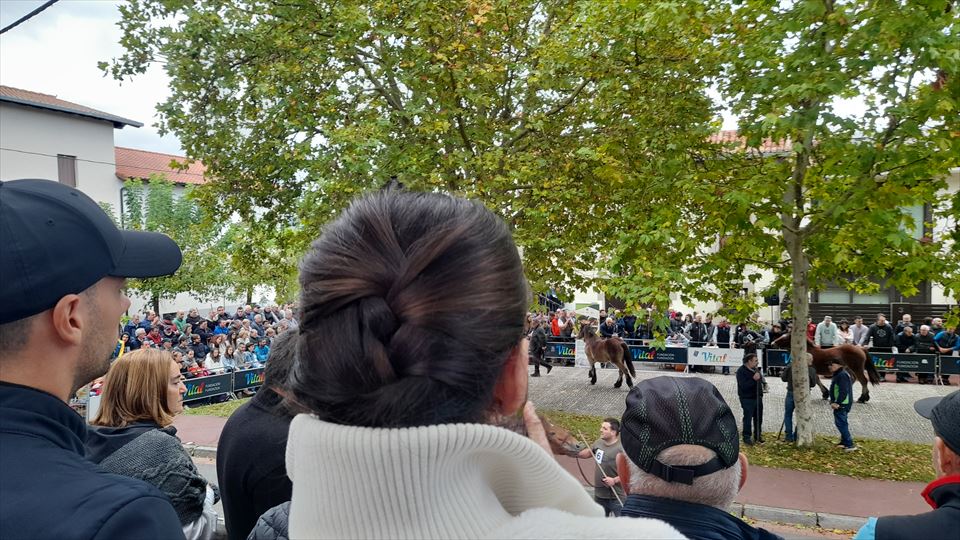 15.	El concurso y muestra de ganado de caballo de monte del País Vasco es un referente en Euskal Herria