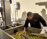 Manzana en cantidad, de buen tamaño, pero con menos azúcar que el año pasado