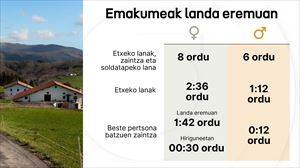 Zaintza, landa eremuan desparekotasuna areagotzen duen faktorea