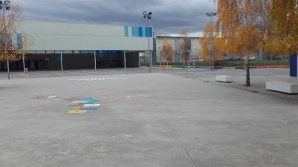 La sobrepoblación de palomas provoca un problema de salud pública en el colegio Salburua 