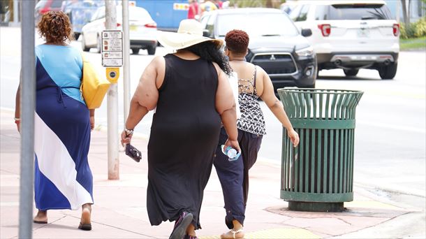 Tratamiento multidisciplinar de la obesidad. Diagnóstico con IA a partir de imágenes médicas