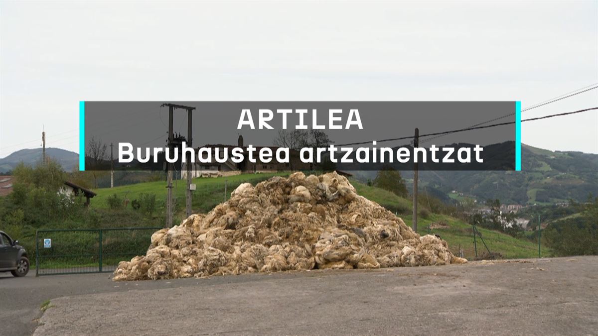 Artilea buruhaustea da gaur egun artzainentzat. Argazkia: EITB MEDIA.