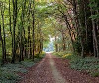 Landa destaca más por su paisaje y entorno natural que por su núcleo urbano