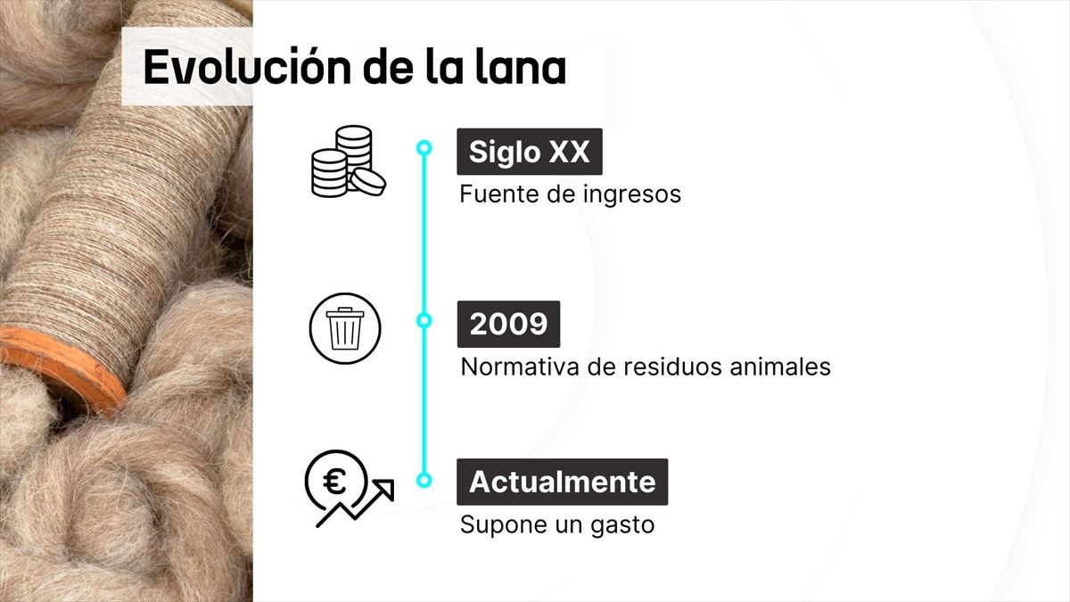 Evolución de la lana en los últimos años. Argazkia: EITB media.