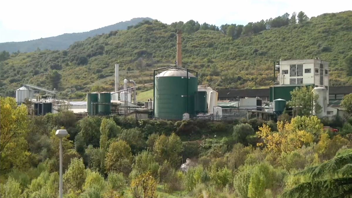 Estella, esta mañana. Imagen obtenida de un vídeo de EITB Media.