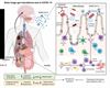 Microbioma y Covid persistente - Sonia Villapol