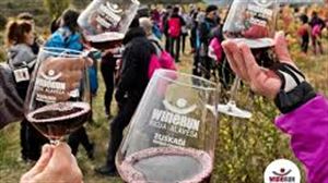 Más de 4.000 personas en la VII Wine Run de Elciego