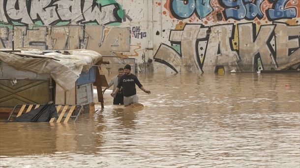 Un estudio asocia la DANA que ha asolado Valencia con el cambio climático. Edición genética más versátil 