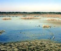 ¿Cómo se forma una DANA?. Aranzadi cumple 75 años anillando aves. El futuro de Doñana en riesgo. 