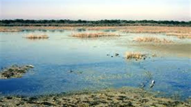 ¿Cómo se forma una DANA?. Aranzadi cumple 75 años anillando aves. El futuro de Doñana en riesgo. 