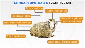 Bi mingain urdin kasu baieztatu dituzte Bizkaian, eta lurraldean nahitaezko txertaketa martxan jarri dute