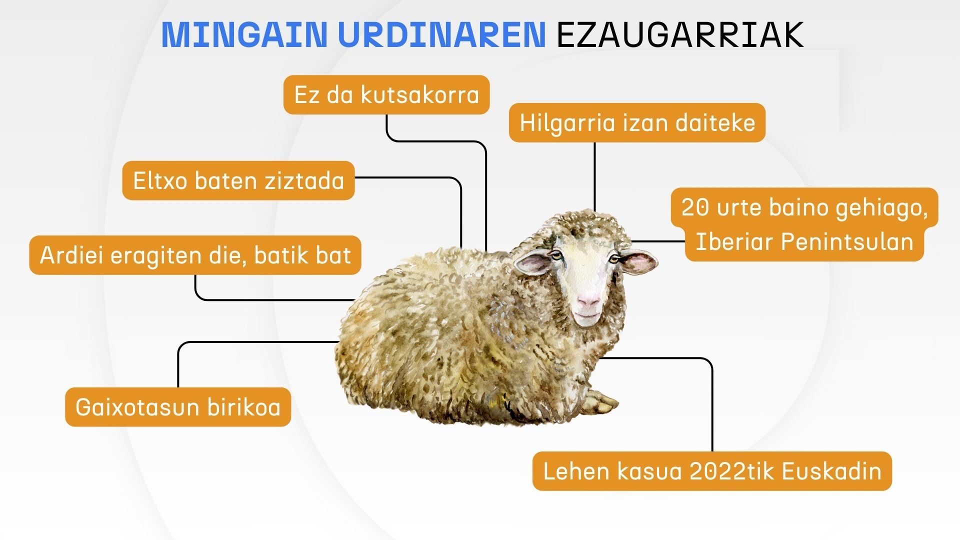 Mingain urdinaren ezaugarriak. Grafikoa: EITB Media