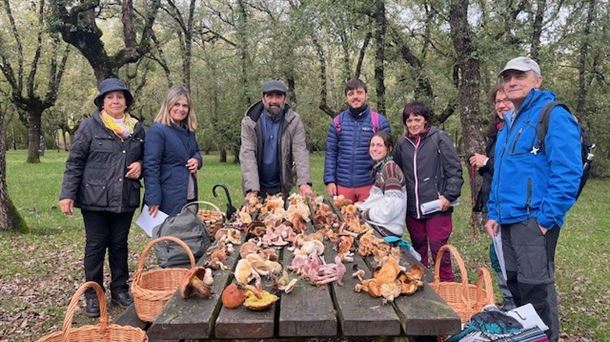 En busca de setas en el bosque de Armentia