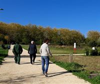 Paseamos por el tesoro natural de Vitoria: el Jardín Botánico de Olarizu