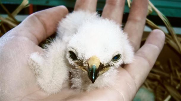 Visitamos el centro foral de recuperación de fauna silvestre ubicado en Martioda