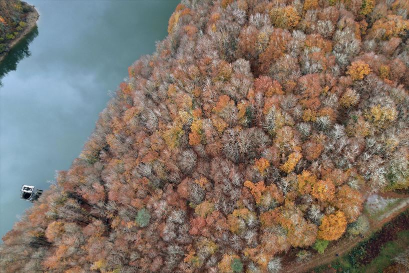 Irabiako urtegia eta Iratiko basoa, dronezko bistan. EFE.