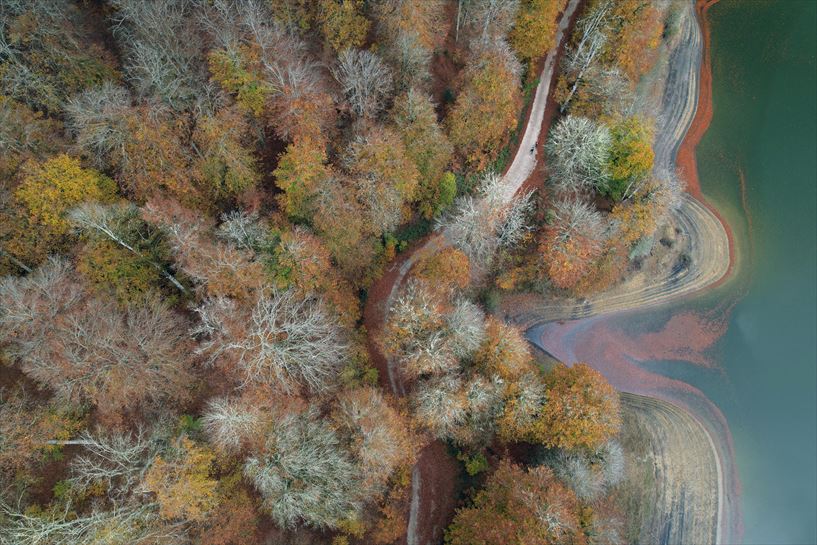 Irabiako urtegia eta Iratiko basoa, dronezko bistan. EFE.
