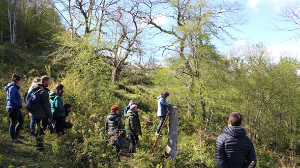 El centenario castañar del concejo de Apellaniz, candidato a Mejor Bosque 2025