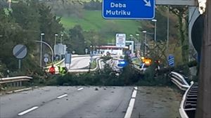 La caída de un árbol provoca el cierre de la AP-8 en Deba, dirección Irun, y no se reabrirá hasta las 15:00