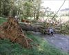 El temporal de viento provoca cerca de 350 incidencias, la mayoría en Gipuzkoa 