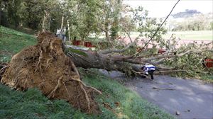 El temporal de viento provoca cerca de 350 incidencias, la mayoría en Gipuzkoa 