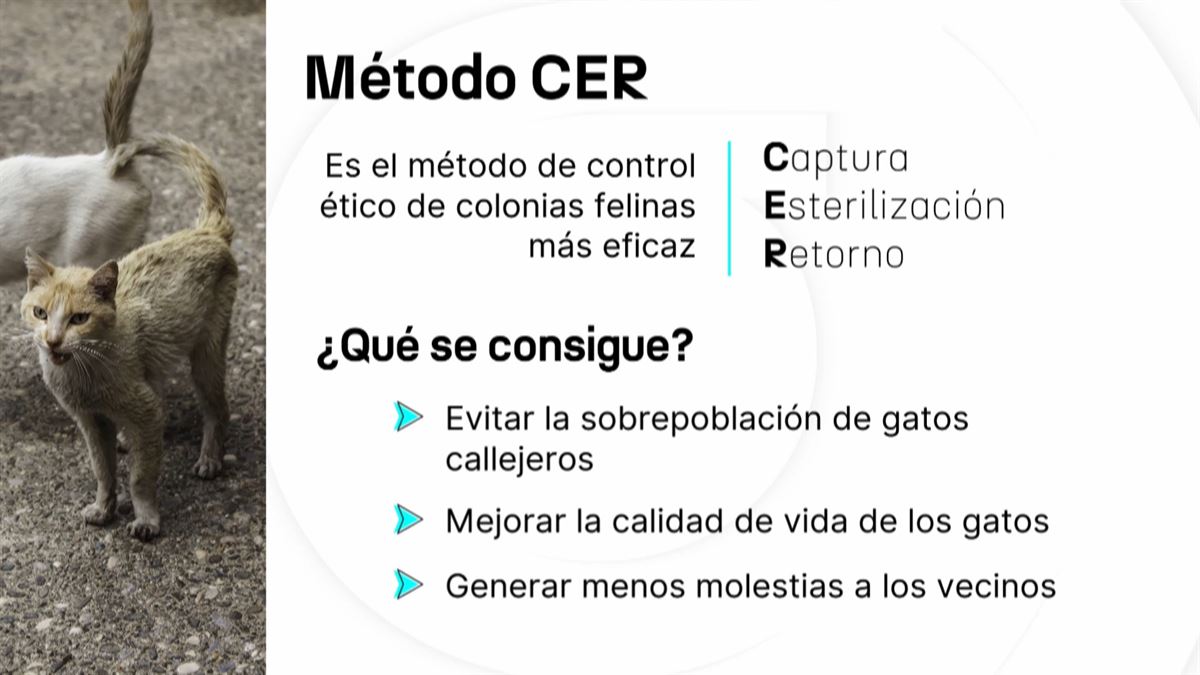 ''Con el método CER intentamos controlar de manera más ética y mejor posible el número de colonias''