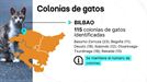 Colonias de gatos en las capitales de Euskadi