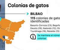 Las colonias de gatos, un problema cada vez más controlado en Euskadi