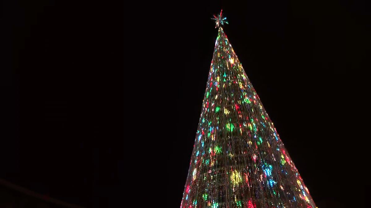 Centenares de personas visitan diariamente el gran árbol de Moyua, que cuenta con luz y sonido