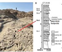 Las huellas que muestran la coexistencia de homínidos hace 1,5 millones de años. Cómo gestionar el tiempo