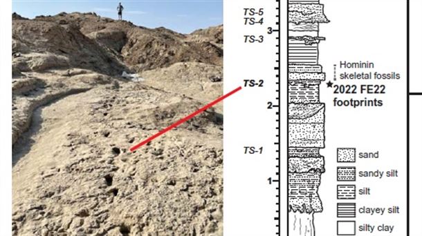 Las huellas que muestran la coexistencia de homínidos hace 1,5 millones de años. Cómo gestionar el tiempo