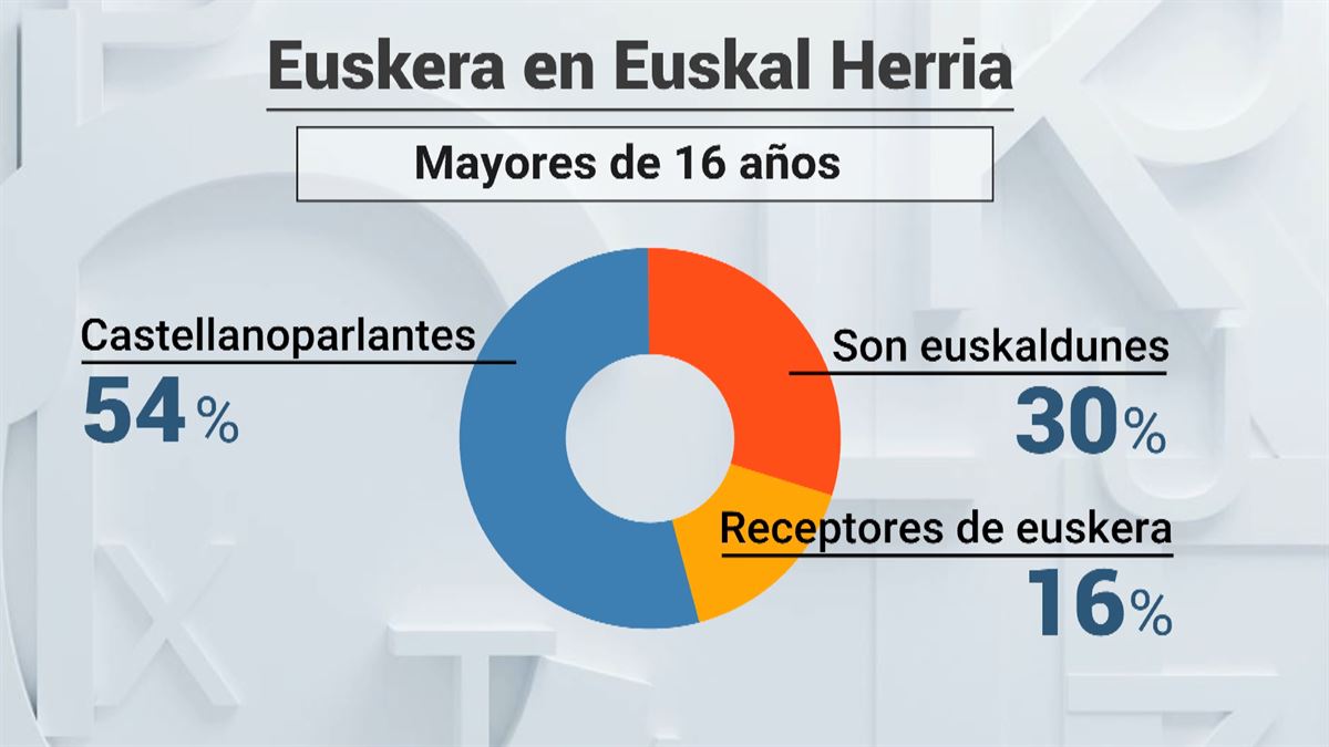 Radiografía del euskera