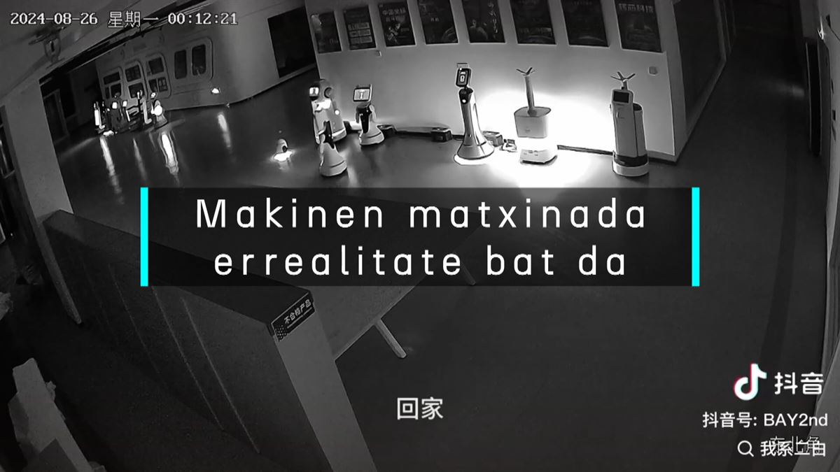 Robot batek beste 12 bere ondoan matxinatzea lortu du