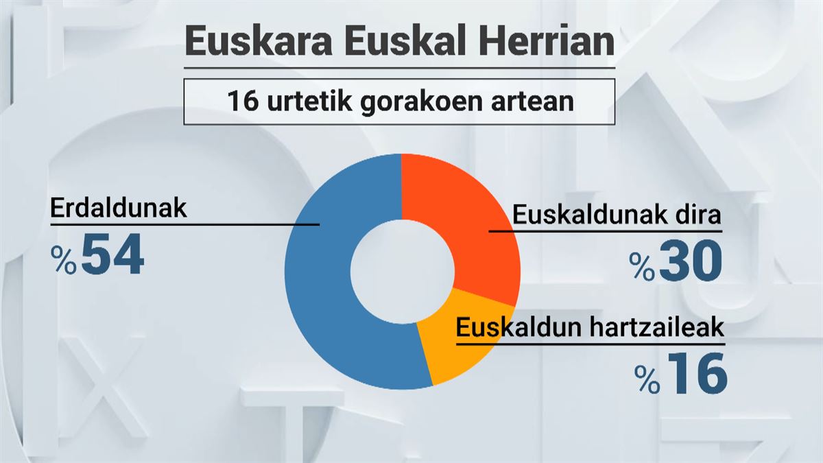 Euskararen erradiografia. EITB Mediaren bideo batetik ateratako irudia.