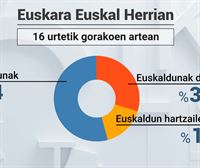 Euskararen erradiografia