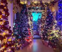 Una pareja alemana bate un récord Guinness al decorar su casa con 605 árboles de Navidad