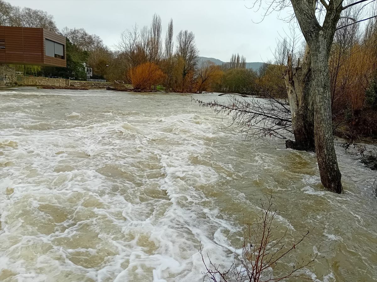 El Arga a su paso por Pamplona. Foto: @PamplonaIrunaPM