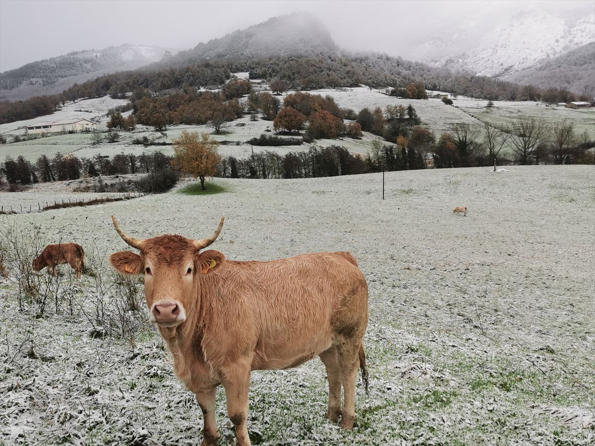 Nieve en Asparrena (Álava). 